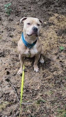 RyanPepper872's profile picture. 