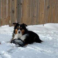 Brian Pollock (@bp392) 's Twitter Profile