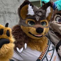 Spire the Wolf 🔜 FLOP🔜LVFC (@spirethewolf) 's Twitter Profile