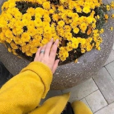 وعسى أن يقال في حقي جميلة الروح 
قد مَرت 💛🌻