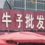 给我一副隐形眼镜 (@yinxingyanjing_) 's Twitter Profile