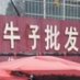 给我一副隐形眼镜 (@yinxingyanjing_) Twitter profile photo 给我一副隐形眼镜 (@yinxingyanjing_) Twitter profile photo