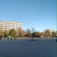 ππ΄π²π½πΈ ππΎπ΄πͺπ±πΈπ»π² (@af01_08) 's Twitter Profile