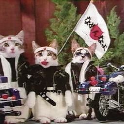 99i62bbD's profile picture. 可愛い❤️キャラクターや昔懐かしい物が大好き❤️🎀です😍フォローよろしくお願いします🙇‍♀️⤵️無言フォローOK❗ジャンジャンして下さい。