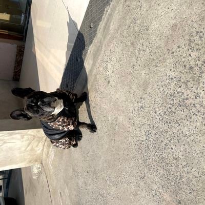 shn269125678149's profile picture. 