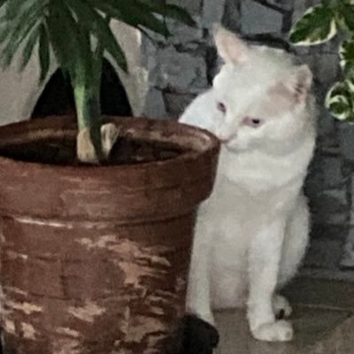 katsumiさんのプロフィール画像