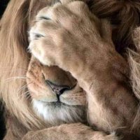 Dr SAMI🩺 ۞ (@drsami212) 's Twitter Profile Photo Dr SAMI🩺 ۞ (@drsami212) 's Twitter Profile Photo