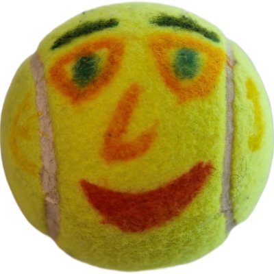 The history of  SkyTennis ball 
We are building the largest tennis meme community in the world
Lets attract children and interested people to tennis adventures