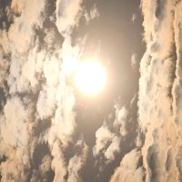 S7even (@cedestee) 's Twitter Profile Photo