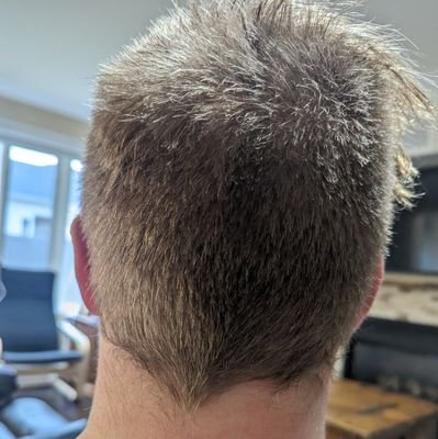 EthanTestsLife's profile picture. 