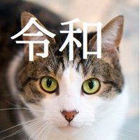 シロキジ (@aiksmlovelove) 's Twitter Profile Photo シロキジ (@aiksmlovelove) 's Twitter Profile Photo