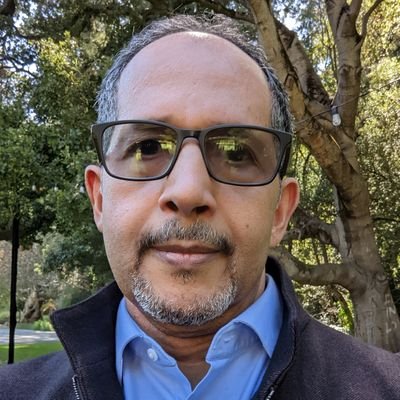 IT Professional and University Professor with extensive experience in digital strategy, Analytics/AI/ML, and business architecture.