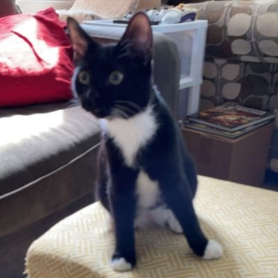 Worms4Brains98's profile picture. 