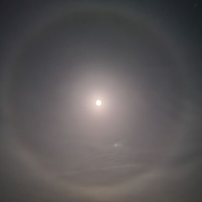 CesoAd's profile picture. はじめてだけど、よろしくお願いします。