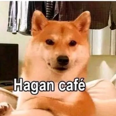 SVerbec48302's profile picture. 