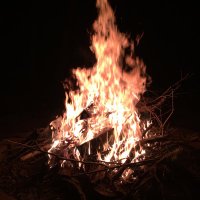 Wildfire1601 (@wildfire1601) 's Twitter Profile