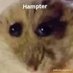 Andrew (@andrew643971) Twitter profile photo Andrew (@andrew643971) Twitter profile photo
