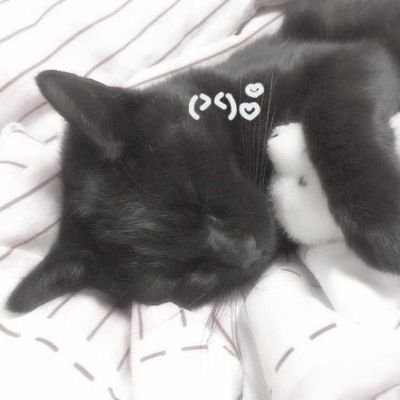 Notwriters's profile picture. He/star