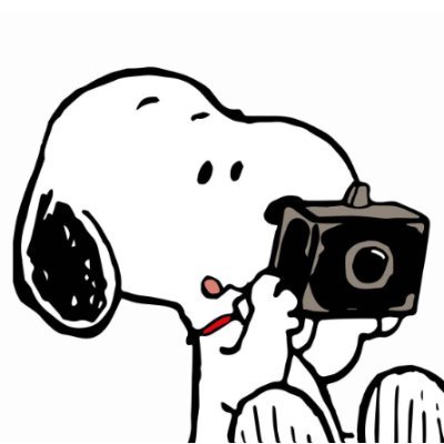 Woman videographer shootin your cornography
LGBTQIA+ kink/fetish friendly

Services available as trade or paid. I do not appear in vids