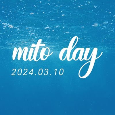 2024.03.09 ~ 03.10 2일간 진행되는 미토데이 컨셉 카페입니다. 본 행사는 슬램덩크 양호열 (水戸洋平)을 위한 비공식 비영리 행사입니다. 🩵주요공지 마음함
📧mito10blue@naver.com