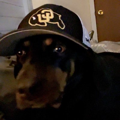 nebraskabuffs's profile picture. buffs, broncos, avs and nuggets fan living in the heart of Nebraska