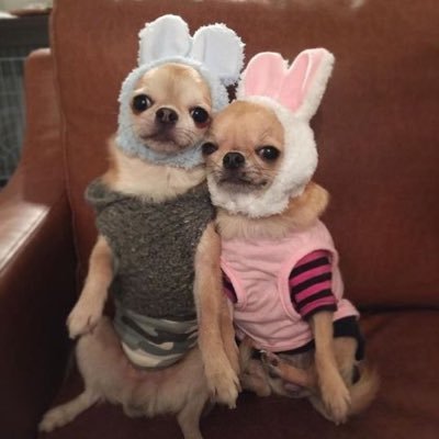 bxwtq1736's profile picture. 