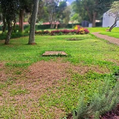 beatric61491414's profile picture. Child of God,  Liverpool🌞 Peace Ambassador🤓