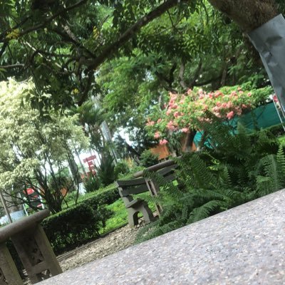 manu2860soto's profile picture. 🏳️‍🌈🏳️‍🌈