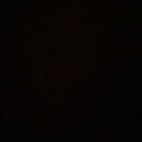 dingo - free palestine (@man_bro_dingo) 's Twitter Profile Photo