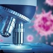 Hematologia Bariloche
Desde 1983