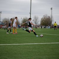 Zane Webb (@zane_webb2026) 's Twitter Profile