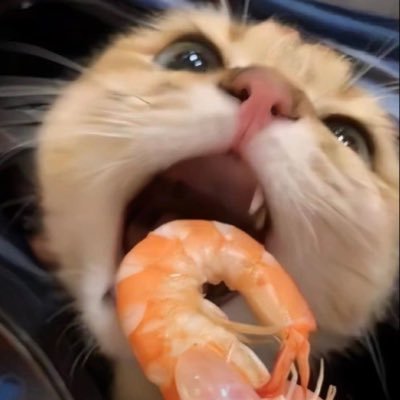trashnnan Profile Picture