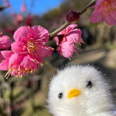 ♡すべてのぬいぐるみとその隣のひとにさちあれ(՞•֊•՞)♡