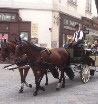 acikave's profile picture. God save the Queen and her followers! :)