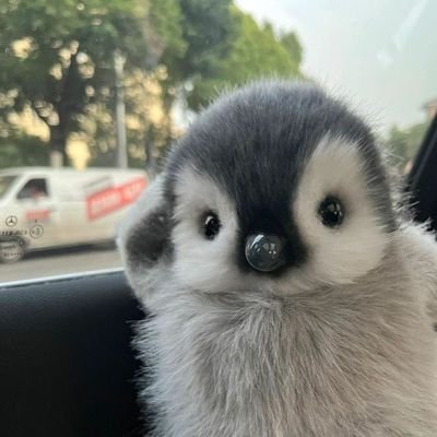 bbwlteaa's profile picture. paling nyakitin org yg bener² dipercaya g bakal judge ternyata sama aja wkwk