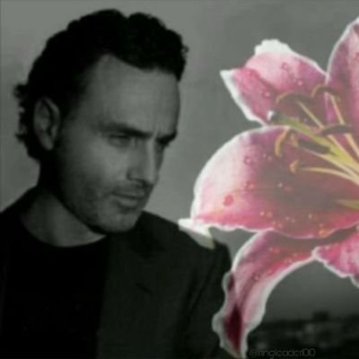 FAN ACCOUNT 
❤Andrew Lincoln❤David Duchovny❤Hugh Jackman❤James Marsters❤Ben McKenzie❤TWD❤X-Files❤Buffy/Angel❤Longmire❤OC❤

flowers🌸country music🎵sports🏈