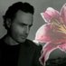 Arlene Sheen (@ringleader1010) Twitter profile photo Arlene Sheen (@ringleader1010) Twitter profile photo