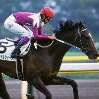 まったり✨マイペース🐎 (@mattri11014) 's Twitter Profile