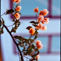 Bored Metaverse 🛸 (@boredmetaverse) 's Twitter Profile