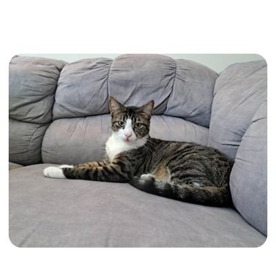 Ann013088242338's profile picture. 