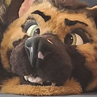 Emeric Shep (@emericshep) 's Twitter Profile