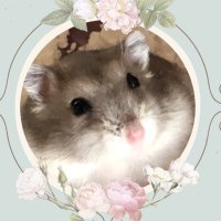 🐯ゆうぴょん🐹#33🍼🌈🕊(@kento_itoi1218) 's Twitter Profile Photo