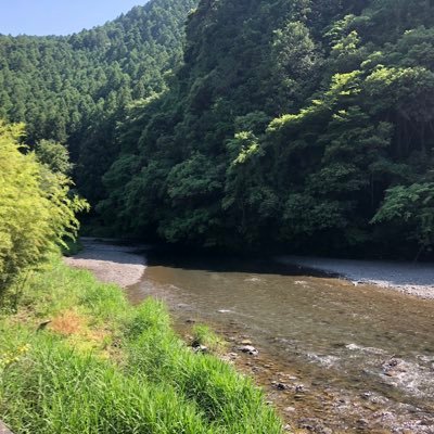 qqwetiqe88's profile picture. うらあか