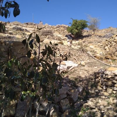 alamrwry90624's profile picture. 