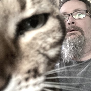 UX writer. SF author on hiatus. Vice President of the Bengal Cat Appreciation Society. Based in Cape Town.