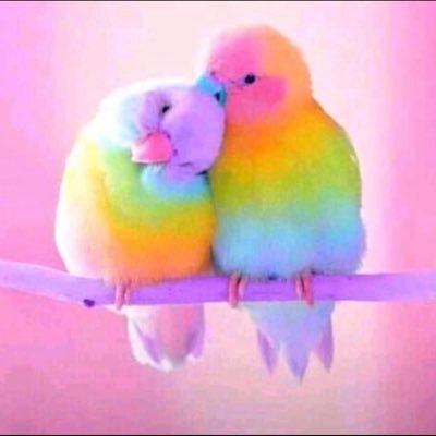 princeufoma's profile picture. sport lover , I do my edit ✍️ on games and God perfect it 🤩, Let love lead 🙌let’s win 🏆 together.