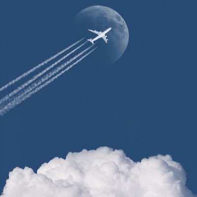 CunLuo56953's profile picture. 