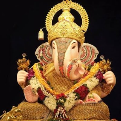 VNagrare83875's profile picture. 