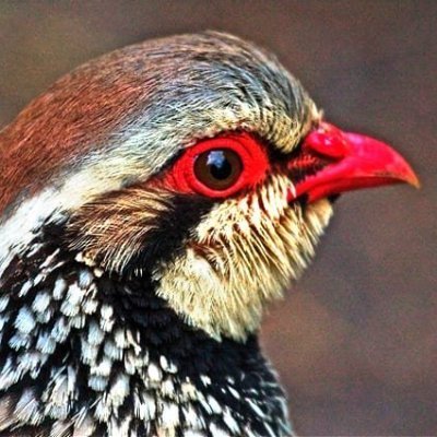 sohail00711's profile picture. It's great to have you here! I share videos related to Office Productivity. My goal is to help you save time so you can spend it on the activities that matter.