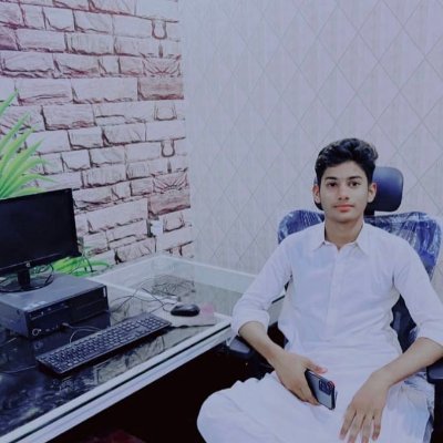 PakLover353584's profile picture. freelancer ❤️ entrepreneur